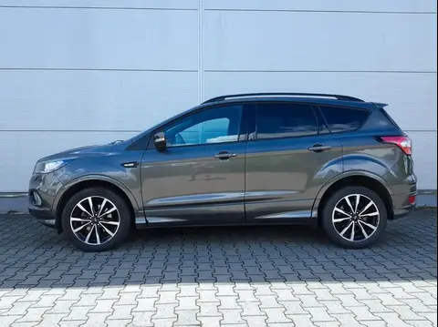 Used FORD KUGA Petrol 2019 Ad 