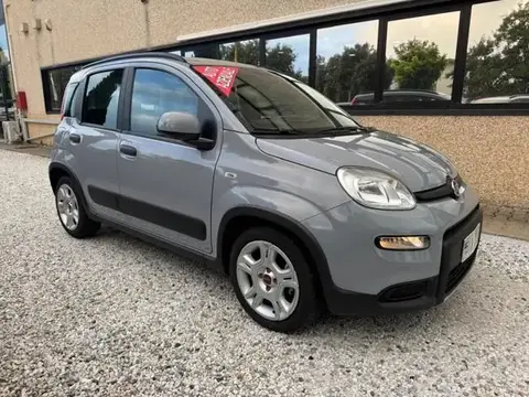 Used FIAT PANDA Hybrid 2022 Ad 