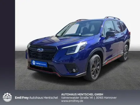 Annonce SUBARU FORESTER Hybride 2024 d'occasion 