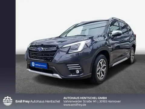 Annonce SUBARU FORESTER Hybride 2024 d'occasion 