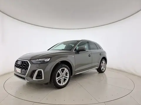 Used AUDI Q5  2023 Ad 