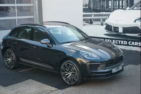 Used PORSCHE MACAN Petrol 2024 Ad 