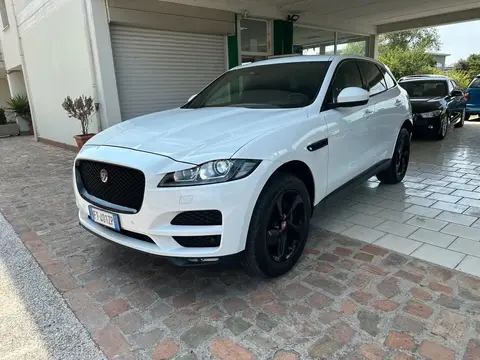 Used JAGUAR F-PACE Diesel 2019 Ad 