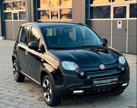 Used FIAT PANDA Petrol 2023 Ad 