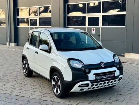 Used FIAT PANDA Petrol 2023 Ad 