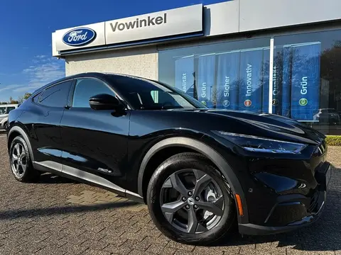 Used FORD MUSTANG Not specified 2021 Ad 