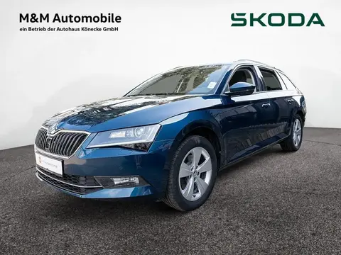 Annonce SKODA SUPERB Diesel 2019 d'occasion 