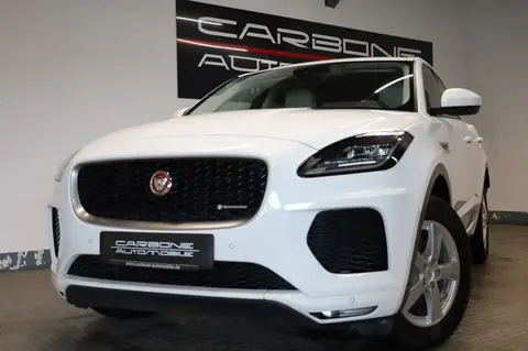 Used JAGUAR E-PACE Diesel 2018 Ad 