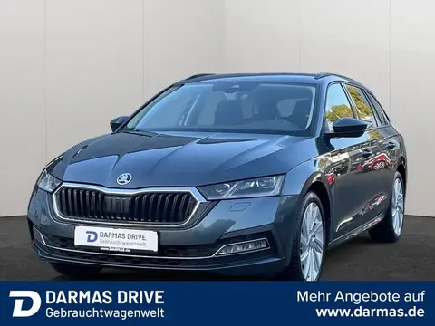 Used SKODA OCTAVIA Petrol 2021 Ad 