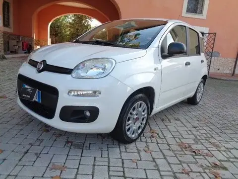 Used FIAT PANDA Petrol 2019 Ad Italy