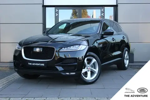 Annonce JAGUAR F-PACE Essence 2019 d'occasion 