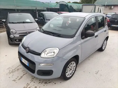 Used FIAT PANDA Petrol 2019 Ad 