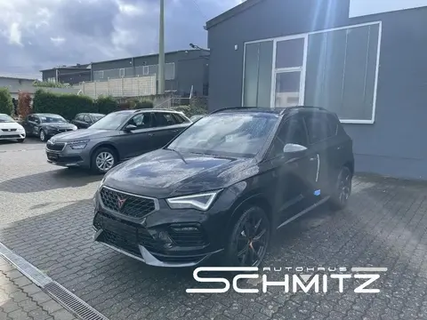 Annonce CUPRA ATECA Essence 2024 d'occasion 