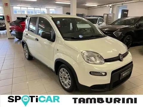 Used FIAT PANDA Hybrid 2022 Ad 