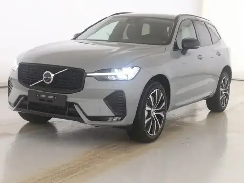 Annonce VOLVO XC60 Diesel 2024 d'occasion 