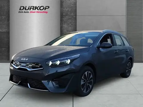 Annonce KIA CEED Hybride 2024 d'occasion 