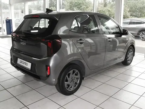 Annonce KIA PICANTO Essence 2024 d'occasion 