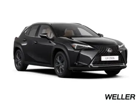 Annonce LEXUS UX Hybride 2022 d'occasion 