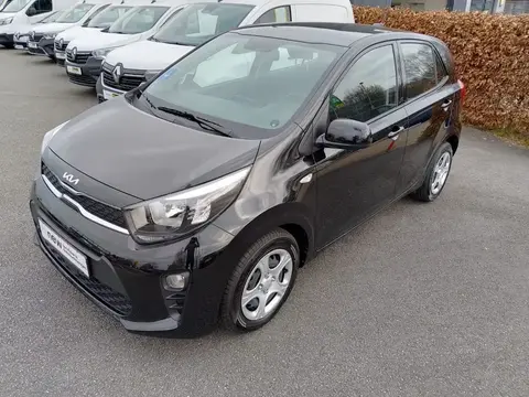 Used KIA PICANTO Petrol 2023 Ad 