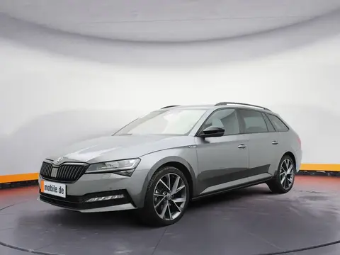 Annonce SKODA SUPERB Diesel 2024 d'occasion 