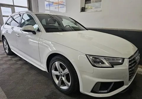 Used AUDI A4 Diesel 2019 Ad 