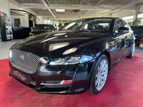 Used JAGUAR XJ Diesel 2018 Ad 