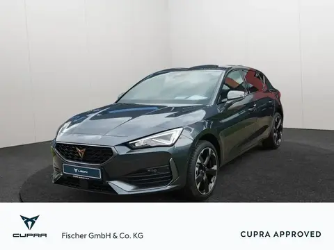 Used CUPRA LEON Petrol 2024 Ad 