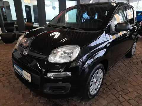 Annonce FIAT PANDA Essence 2019 d'occasion 