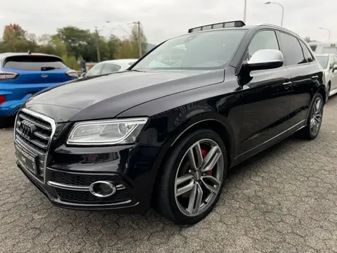 Annonce AUDI SQ5 Diesel 2016 d'occasion 