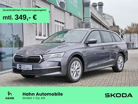 Used SKODA OCTAVIA Diesel 2024 Ad 