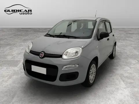 Used FIAT PANDA Petrol 2019 Ad 