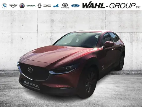 Annonce MAZDA CX-30 Essence 2024 d'occasion 