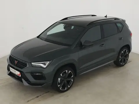 Annonce CUPRA ATECA Essence 2024 d'occasion 