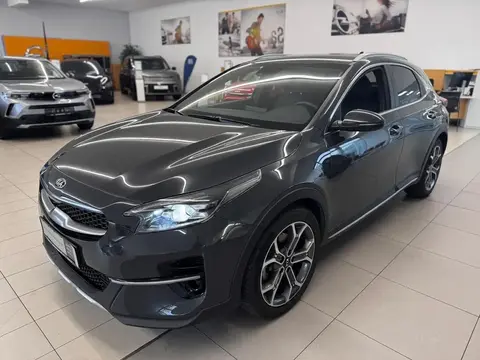 Used KIA XCEED Petrol 2021 Ad 