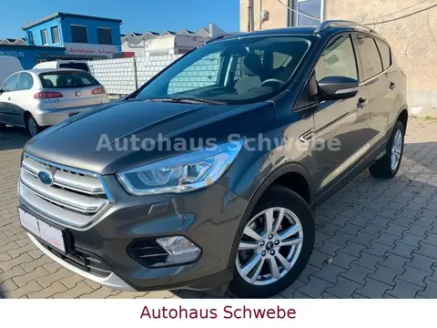 Used FORD KUGA Petrol 2019 Ad 