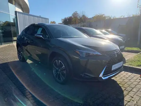 Used LEXUS UX Petrol 2023 Ad 