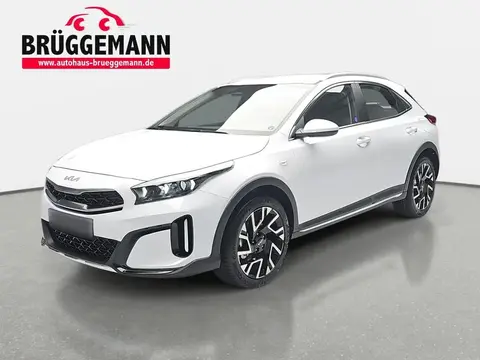 Used KIA XCEED Petrol 2024 Ad 