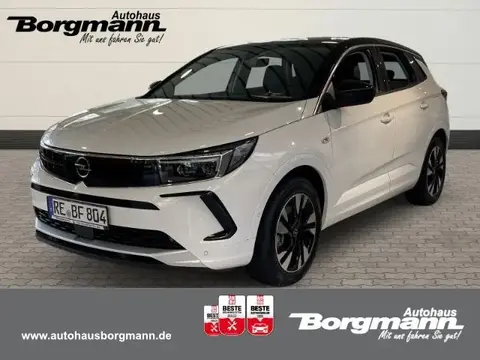 Used OPEL GRANDLAND Hybrid 2024 Ad 