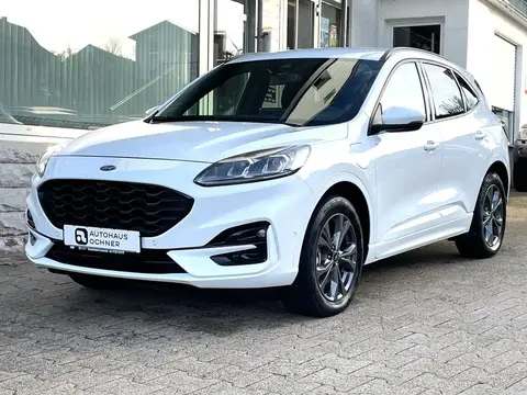 Annonce FORD KUGA Hybride 2021 d'occasion 