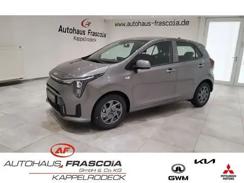 Used KIA PICANTO Petrol 2024 Ad 