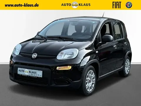 Annonce FIAT PANDA Hybride 2024 d'occasion 