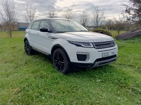 Used LAND ROVER RANGE ROVER EVOQUE Diesel 2016 Ad 