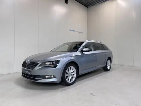 Annonce SKODA SUPERB Diesel 2019 d'occasion 