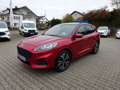 Annonce FORD KUGA Diesel 2023 d'occasion 