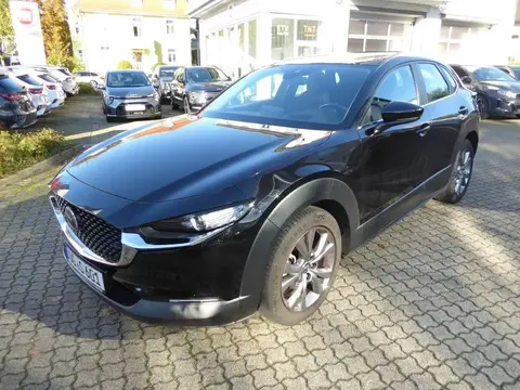 Annonce MAZDA CX-30 Essence 2022 d'occasion 