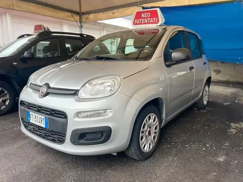 Annonce FIAT PANDA Essence 2019 d'occasion 