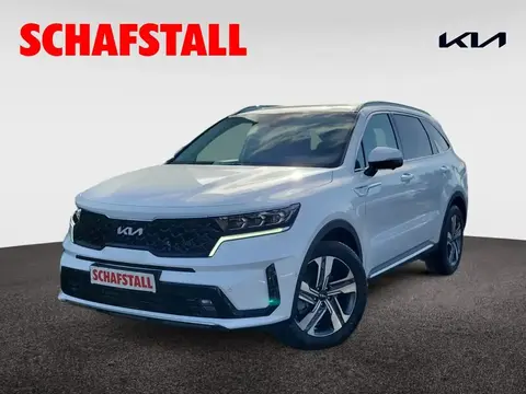 Annonce KIA SORENTO Hybride 2024 d'occasion 