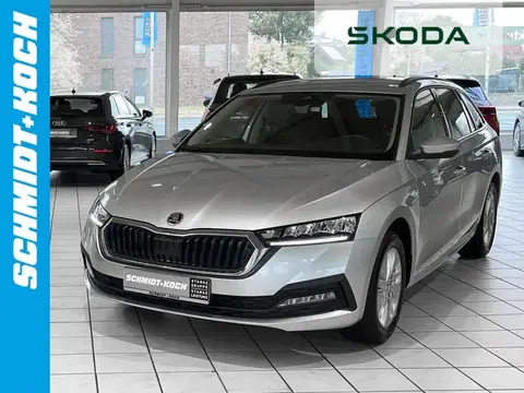 Annonce SKODA OCTAVIA Diesel 2021 d'occasion 