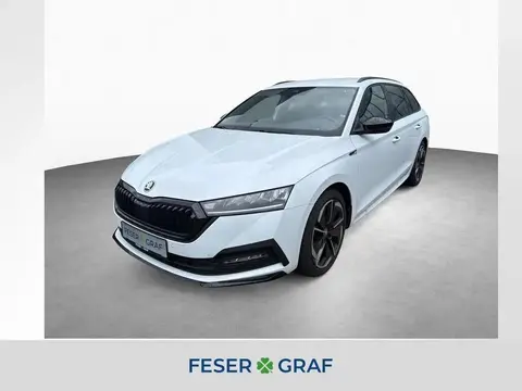 Annonce SKODA OCTAVIA Essence 2024 d'occasion 