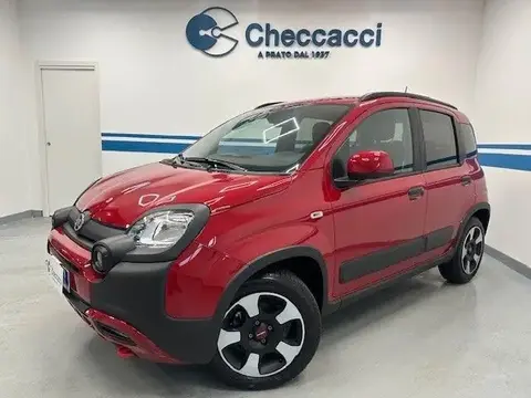 Used FIAT PANDA Hybrid 2023 Ad 